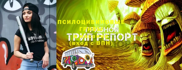 твердый Арсеньев
