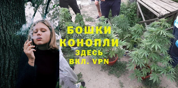 гидра Армянск