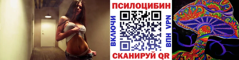 Купить  Верея  Псилоцибиновые грибы прущие грибы 